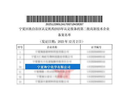 和寧公司獲高新技術企業(yè)稱號.jpg