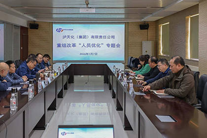 廖廷君一行赴和寧公司、寧夏高效復(fù)合肥二期項目現(xiàn)場調(diào)研